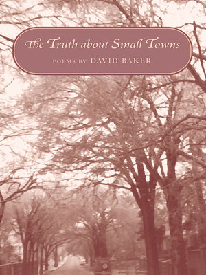 cover image of The Truth about Small Towns